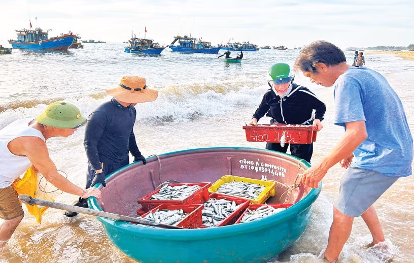 Những chuyến tàu đầy ắp cá tôm được chuyển vào đất liền.