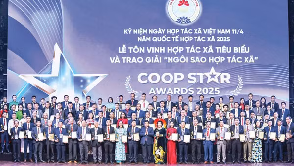 Đổi mới mô hình hợp tác xã Việt Nam: Xây dựng hệ sinh thái phong phú và vững mạnh