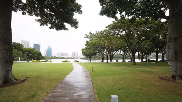 Hồ Vân Đang: Từ "hồ nước chết" đến không gian sinh thái giữa lòng thành phố Hạ Môn
