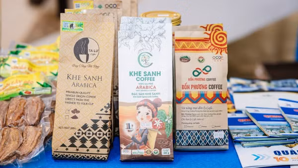 Khe Sanh: Hành trình “đánh thức” hạt cà-phê giữa đại ngàn Trường Sơn