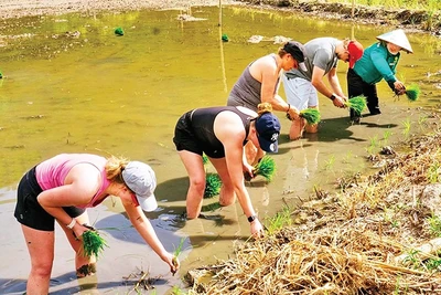 Ninh Bình thu hút du khách quốc tế với các hoạt động trải nghiệm văn hóa hấp dẫn.