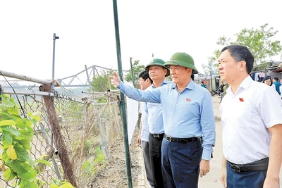 Thường trực Hội đồng nhân dân thành phố Hà Nội thị sát tình hình quản lý, sử dụng đất đai khu vực bãi sông, ngoài đê sông Hồng.