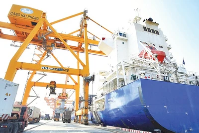 Hoạt động xuất nhập khẩu hàng hóa tại cảng Hải Phòng. (Ảnh DUY LINH)