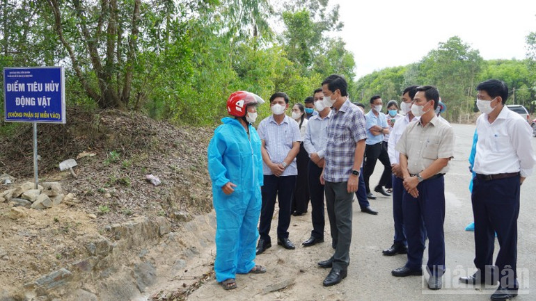 Phó Chủ tịch Thường trực Ủy ban nhân dân tỉnh Quảng Trị Hoàng Nam kiểm tra điểm tiêu hủy ở xã Trung Thuần. ndo_br_dich-2-1-7897.jpg