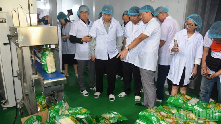 Đại diện các doanh nghiệp, nhà phân phối nước ngoài tham quan tại Nhà máy sấy lúa Sê Pôn của Công ty cổ phần Tổng Công ty Thương mại Quảng Trị. ndo_br_124d4160201t2868l4-dv-0068-6732.jpg