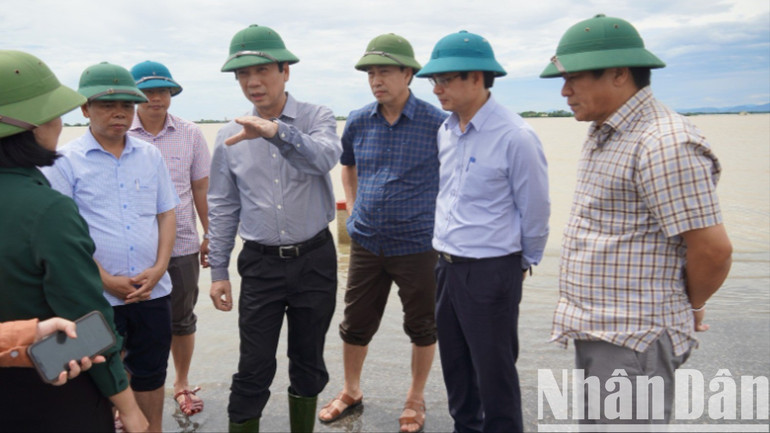 Quyền Chủ tịch Ủy ban nhân dân tỉnh Quảng Trị Hoàng Nam kiểm tra, chỉ đạo công tác khắc phục hậu quả ảnh hưởng do bão số 1 tại huyện Triệu Phong. kitramualu146-4457.jpg