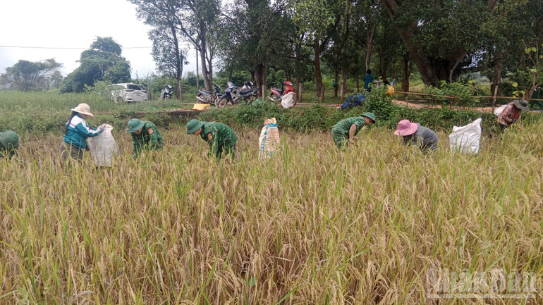 Những người lính Biên phòng luôn sẵn sàng có mặt ở mọi nơi, mọi lúc khi nhân dân cần. ndo_br_z7180271173552-c7bd3d95d8c8774deb86b1f8db87c5dd.jpg