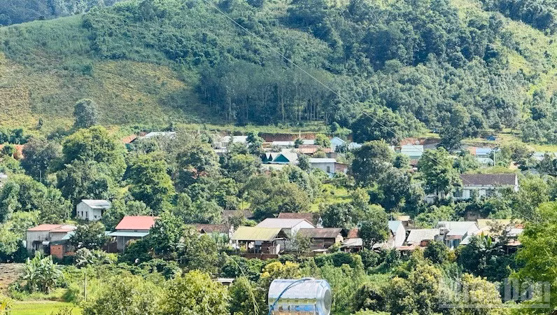 ndo_br_dl4.jpg