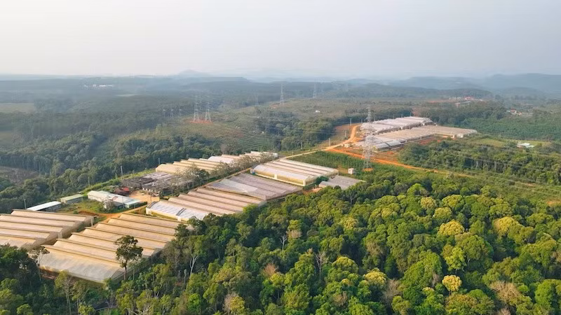 Xã Măng Đen xác định rõ chiến lược, mục tiêu và giải pháp phát triển kinh tế-xã hội.