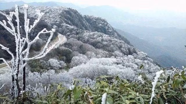(Ảnh: Trung tâm khí tượng thủy văn quốc gia)