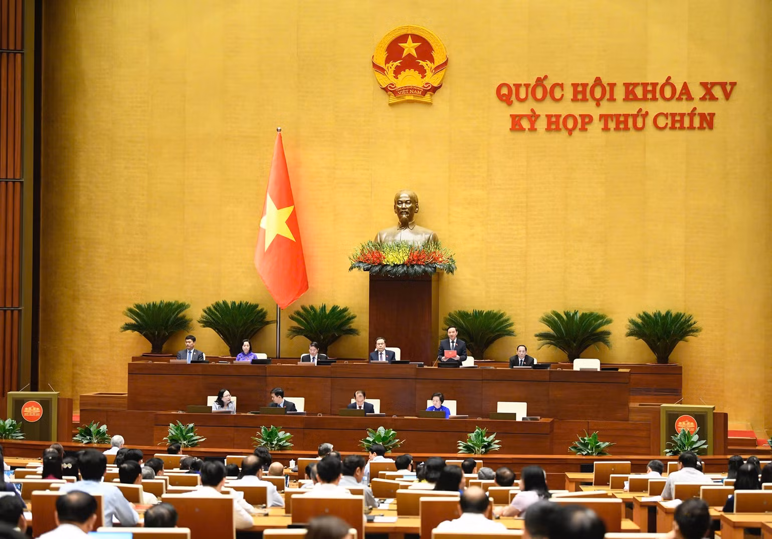 10.jpg