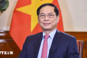 Phó Thủ tướng Chính phủ, Bộ trưởng Ngoại giao Bùi Thanh Sơn. (Ảnh: TTXVN)