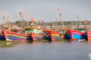 Tàu thuyền của ngư dân ven biển huyện Tiền Hải, tỉnh Thái Bình vào khu neo đậu, tránh bão số 1.