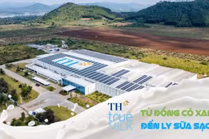 TH true MILK với mô hình "từ đồng cỏ đến ly sữa sạch"