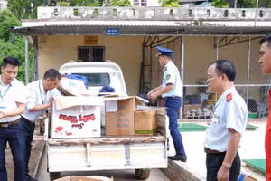 Đoàn kiểm tra liên ngành chứng kiến tiêu hủy thực phẩm không rõ nguồn gốc. (Ảnh: CDC ĐIỆN BIÊN)