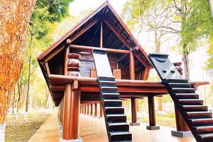 Nhà dài truyền thống người Ê Đê được tỉnh Đắk Lắk đầu tư xây dựng nhằm bảo tồn văn hóa truyền thống dân tộc trong khuôn viên di tích Biệt điện Bảo Đại, phường Tân Tiến, thành phố Buôn Ma Thuột.