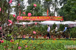 Một chợ hoa xuân tại Hà Nội. (Ảnh: THÀNH ĐẠT)