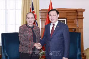 Chủ tịch Quốc hội Vương Đình Huệ tiếp Phó Chủ tịch Nghị viện kiêm Chủ nhiệm Ủy ban Đối ngoại, Quốc phòng và Thương mại Jenny Salesa. (Ảnh: TTXVN) 