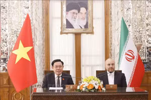 Chủ tịch Quốc hội Vương Đình Huệ và Chủ tịch Quốc hội Iran Mohammad Bagher Ghalibaf gặp gỡ báo chí sau hội đàm. (Ảnh: TTXVN)