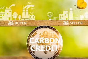 [Video] Vận hành thí điểm sàn giao dịch tín chỉ carbon