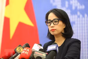Người Phát ngôn Bộ Ngoại giao Phạm Thu Hằng chủ trì họp báo thường kỳ tháng 7. (Ảnh: TTXVN)