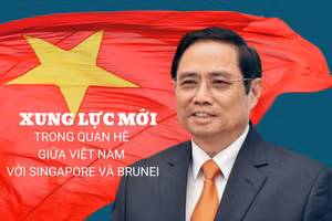 Xung lực mới trong quan hệ giữa Việt Nam với Singapore và Brunei