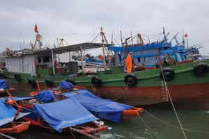 Gallery - Ứng phó với hoàn lưu áp thấp nhiệt đới - image 4