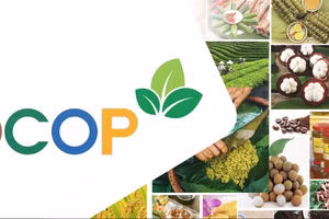 OCOP- Những sản vật mang nặng giá trị văn hóa 