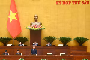 Đề xuất xử phạt hành vi trúng đấu giá nhưng không mua tài sản