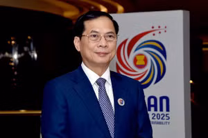 Phó Thủ tướng, Bộ trưởng Ngoại giao Bùi Thanh Sơn. (Ảnh: BNG)