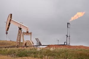 Đường ống dẫn khí đốt ở Williston, North Dakota, Mỹ. (nh: AFP/TTXVN)