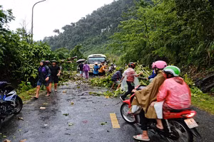 Mưa và gió to làm gãy đổ nhiều cây ven đường gây ảnh hưởng giao thông.