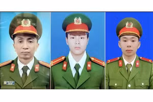 3 cán bộ chiến sĩ trước khi thăng quân hàm. (Ảnh: TTXVN)