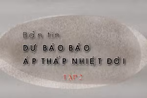 Bản tin dự báo bão, áp thấp nhiệt đới
