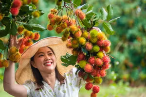 Long Khánh được xem là "thủ phủ' của nhiều loại trái cây ngon nức tiếng ở Đông Nam Bộ.