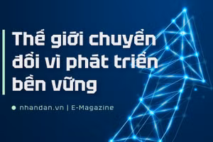 Thế giới chuyển đổi vì phát triển bền vững