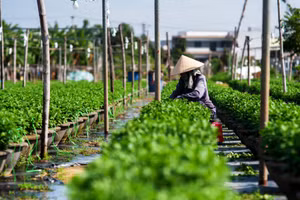 Gallery - Xuân sáng tạo - Tết Nhâm Dần 2022 - image 3