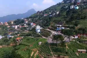 Vĩnh Phúc - Yêu lắm Việt Nam