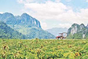Thúc đẩy phát triển du lịch xanh,bền vững