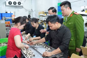 Các cơ quan chức năng kiểm tra công tác bảo đảm an toàn thực phẩm trên địa bàn thành phố Hà Nội.