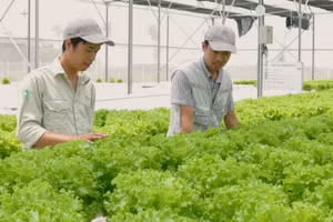 Sản xuất xanh, sản xuất sạch, ít phác thải đã trở thành xu thế không thể đảo ngược, gắn liền với nỗ lực giảm phát thải, phát triển bền vững của Việt Nam. 