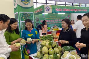 Các tỉnh triển khai đưa sản phẩm OCOP vào các hội chợ, tiếp cận với nhiều nguồn khách hàng. (Ảnh: NGỌC KHÁNH)