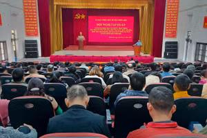  Quang cảnh lớp tập huấn
