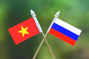 Tăng cường hợp tác Việt-Nga trong chống xói mòn cơ sở thuế