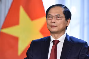 Bộ trưởng Ngoại giao Bùi Thanh Sơn. Ảnh: Bộ Ngoại giao.