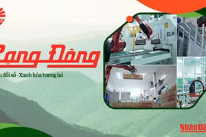 Rạng Đông: Chuyển Đổi Số, Xanh Hóa Tương Lai 