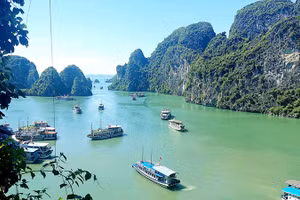 Hành trình đưa “vàng ròng” sá sùng vào nước mắm Vân Đồn 