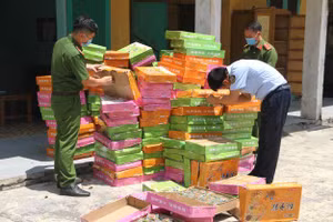 Bánh không rõ nguồn gốc ở kho hàng của chị Phạm Thị Nga, xã Yên Phú, huyện Yên Mỹ, tỉnh Hưng Yên.
