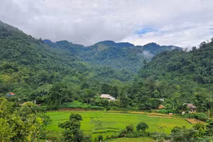 Thiên đường xanh giữa thung lũng hoang sơ