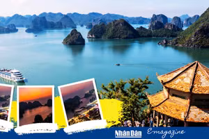 Nhìn lại hành trình 30 năm bảo tồn và phát huy di sản Vịnh Hạ Long